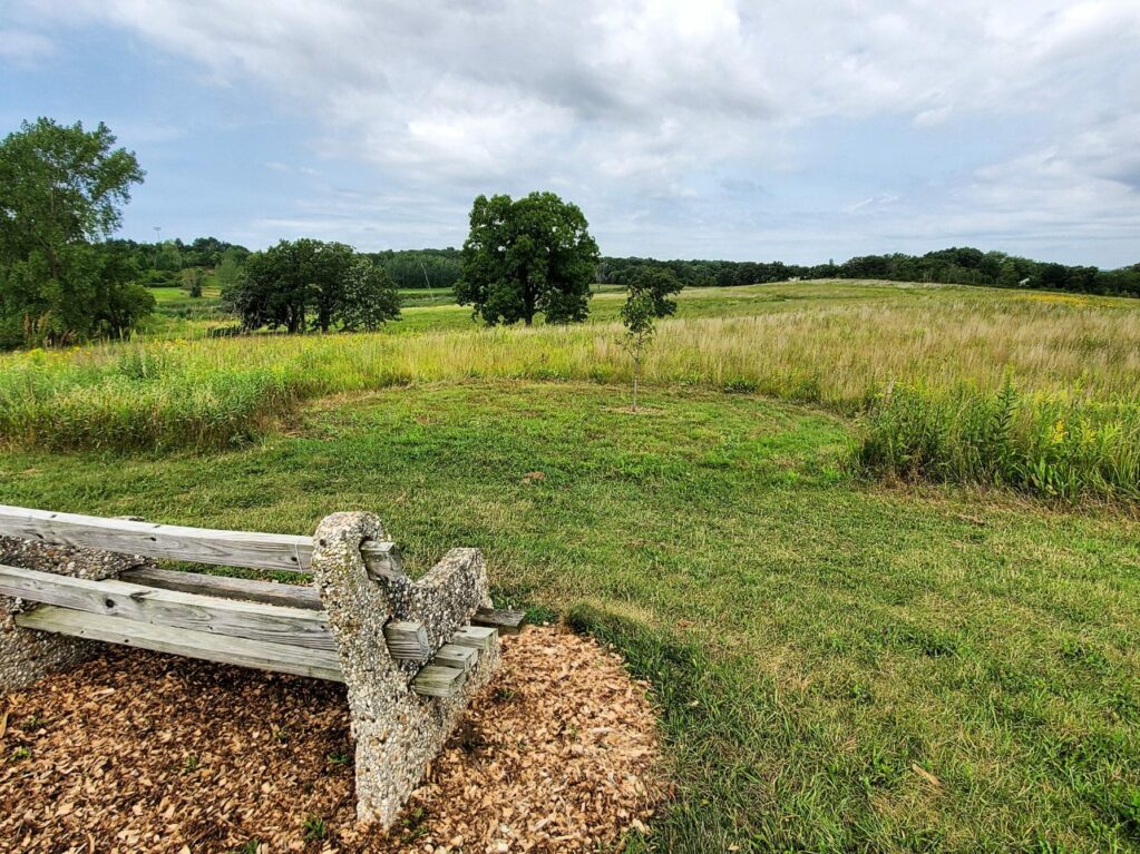 Bench overlooking a field